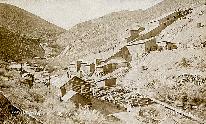 pine creek tungsten mine